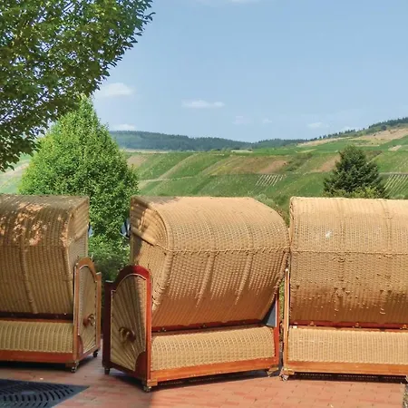 2 Bedroom Nice In An Der Mosel